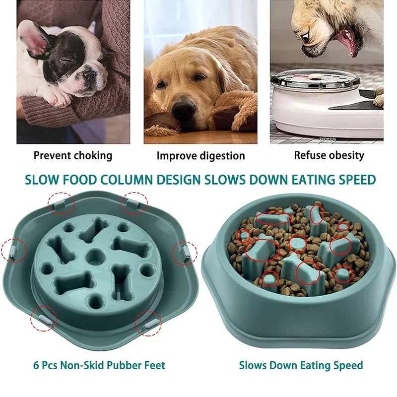 1 pièce Gamelle anti-étouffeme - Royal Canin Food Medium avis et prix